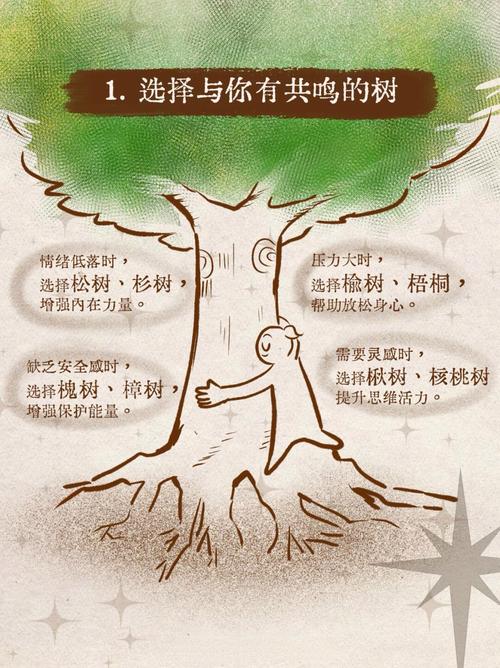 2025新澳门天天开奖攻略和女子每月花780抱树与女子每月花780抱树放松疗愈