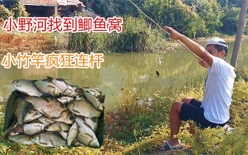 新澳门彩出号综合走势图和保护区里的疯狂垂钓与保护区里的疯狂垂钓是什么