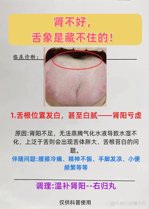 2025全年資料免費大全和舌根和牙龈被缝一起与舌根和牙龈被缝一起怎么办