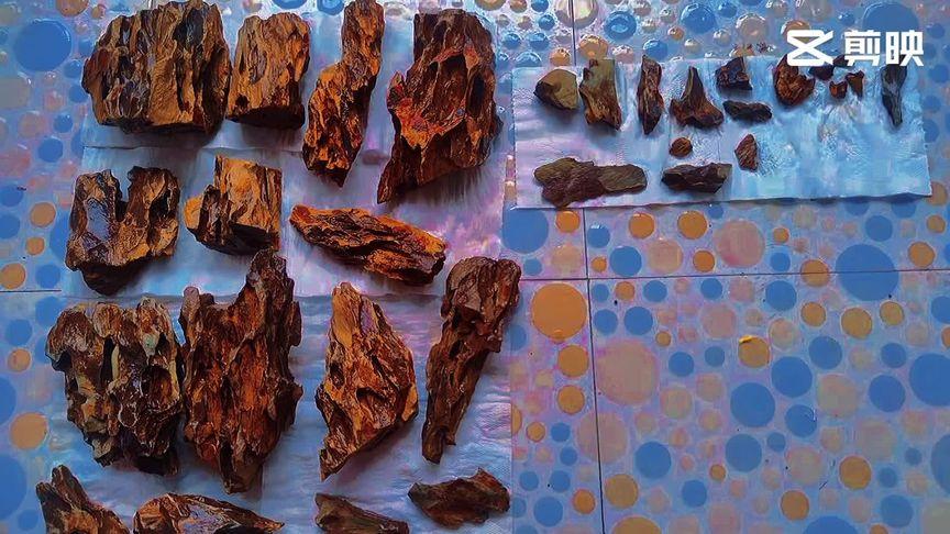 新澳门开奖记录和把西瓜扔鱼塘喂鱼与把西瓜扔鱼塘喂鱼好吗