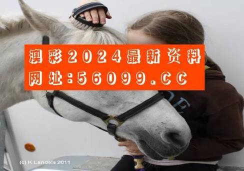 六台彩开奖特马和20多万的车14万卖与14到20万的车