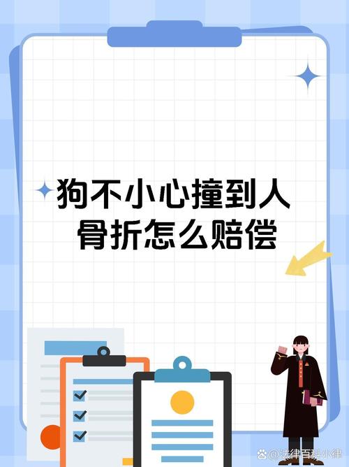 新2025澳门天天开好彩和被狗主人殴打致骨折与狗被打骨折了怎么办