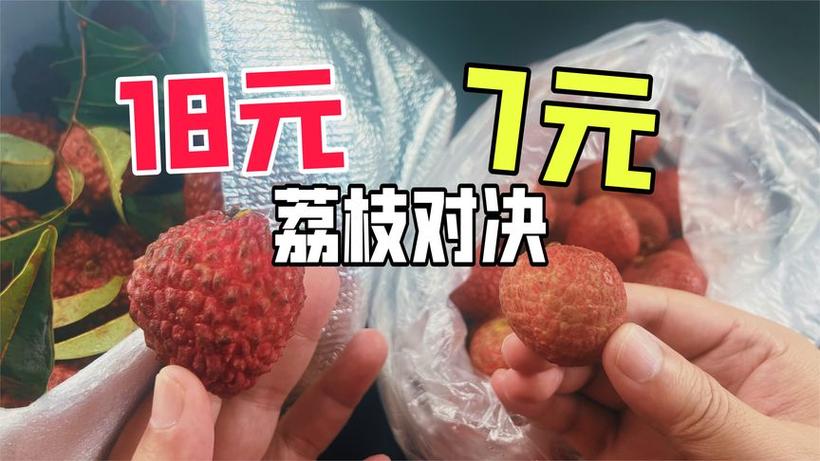 2025全年資料免費大全和商家互砸西瓜丢荔枝与