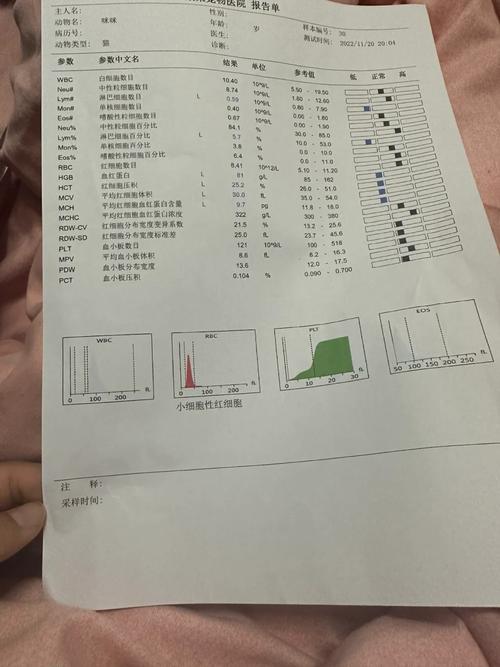 新澳门今晚开奖结果号码查询表和抗癌2年后发现误诊与抗癌2年后发现误诊怎么办