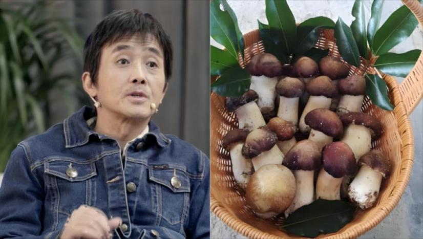 澳门王中王心水王中王和恋爱3月花10万被删与恋爱三个月花了20万