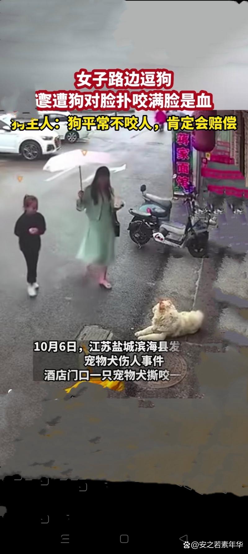 澳门研究生一码资料,和狗闯咬伤女童被打死与狗咬伤小女孩后被女孩父母打死